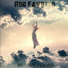 Not Here Forever mp3 Album by Rob Favotto