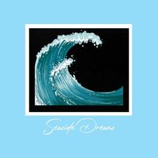 Seaside Dreams mp3 Single by BVG