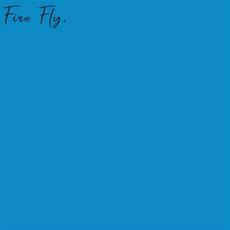 Fire Fly (feat. Bert) mp3 Single by BVG