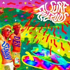 Sunny Day / Sun Raw mp3 Single by Surf Friends