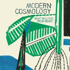 What Will You Grow Now? mp3 Album by Modern Cosmology