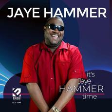 It's Jaye Hammer Time mp3 Album by Jaye Hammer