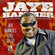 Jaye Hammer's Still Got It mp3 Album by Jaye Hammer