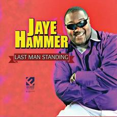 Last Man Standing mp3 Album by Jaye Hammer