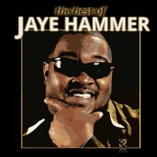 The Best Of Jaye Hammer mp3 Artist Compilation by Jaye Hammer