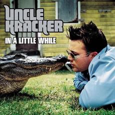 In a Little While mp3 Single by Uncle Kracker