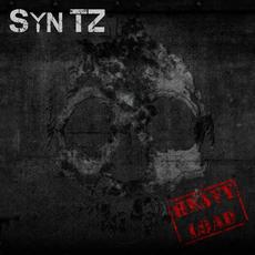 Heavy Load mp3 Album by Syn TZ