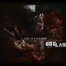 Lost In A Foundry mp3 Album by dogLAB