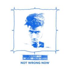 Not Wrong Now mp3 Single by Youngboy Never Broke Again