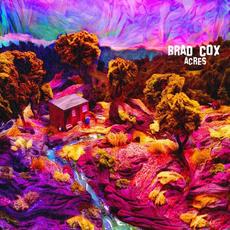 Acres mp3 Album by Brad Cox