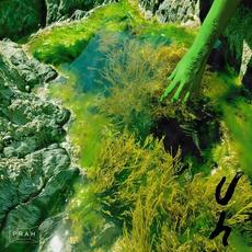 Seasick In Salts EP mp3 Album by uh