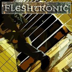 Triple a Single mp3 Album by Fleshtronic