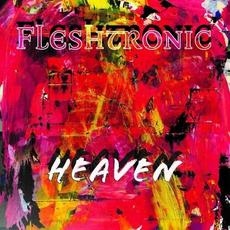 Heaven mp3 Album by Fleshtronic