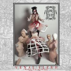Worshiping at the Altar of Artifice mp3 Album by Venal Flesh