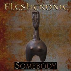 Somebody Escape with Romeo C.o.v.e.r mp3 Single by Fleshtronic