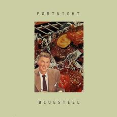 Blue Steel mp3 Album by Fortnight