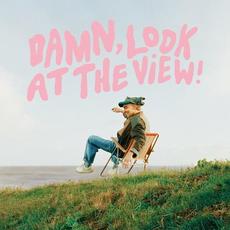 damn, look at the view ! (Deluxe Edition) mp3 Album by Martin Luke Brown