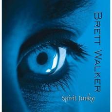 Spirit Junky mp3 Album by Brett Walker
