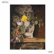 VOR mp3 Album by Gavial