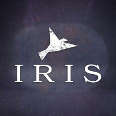 Iris mp3 Single by Flight Paths