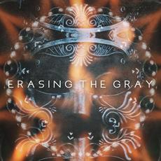 Erasing the Gray mp3 Single by Flight Paths