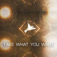 Take What You Want mp3 Single by Flight Paths