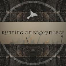 Running on Broken Legs mp3 Single by Flight Paths