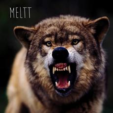 Meltt mp3 Album by Meltt