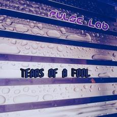 Tears of a Fool mp3 Single by Pulse Lab