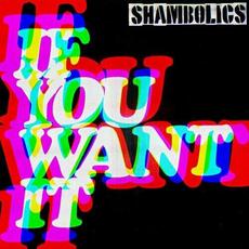 If You Want It mp3 Single by Shambolics