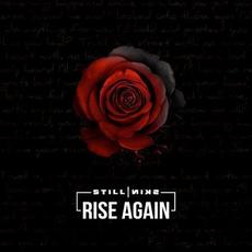 Rise Again mp3 Single by StillSkin