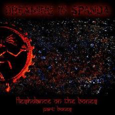 Fleshdance on the Bones, Pt. Bones mp3 Album by Dreaming in Spanda