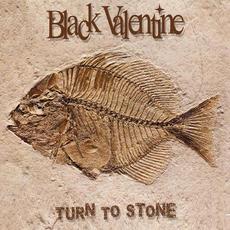 Turn To Stone mp3 Single by Black Valentine