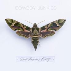 Such Ferocious Beauty mp3 Album by Cowboy Junkies
