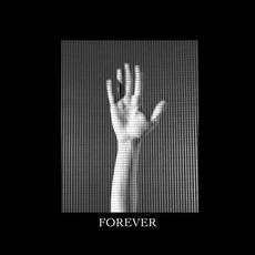 Forever mp3 Single by Flawes
