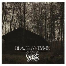 Black Autumn / Veldes mp3 Compilation by Various Artists