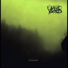 Skyward mp3 Album by Ueldes