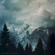 Storm Borrower mp3 Album by Ueldes