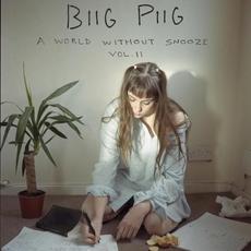 A World Without Snooze, Vol. 2 mp3 Album by Biig Piig