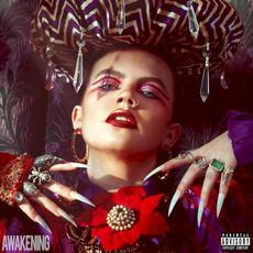 Awakening mp3 Album by CHINCHILLA (2)