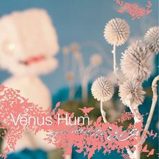 Yes And No mp3 Album by Venus Hum