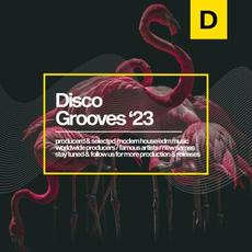 Disco Grooves 2023 mp3 Compilation by Various Artists