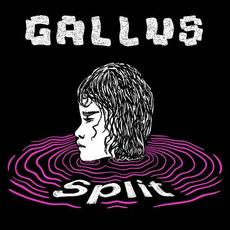 Split mp3 Single by Gallus