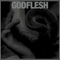 Purge mp3 Album by Godflesh