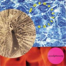 Envoluptuousity mp3 Album by Waterlillies