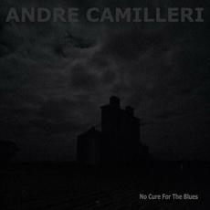 No Cure For The Blues mp3 Album by Andre Camilleri