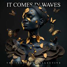 The Identity Collective mp3 Album by It Comes in Waves