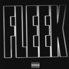 FLEEK mp3 Single by Mike Dimes