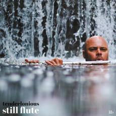 Still Flute mp3 Album by Tenderlonious