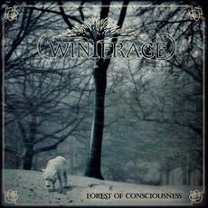 Forest of Consciousness mp3 Single by Winterage